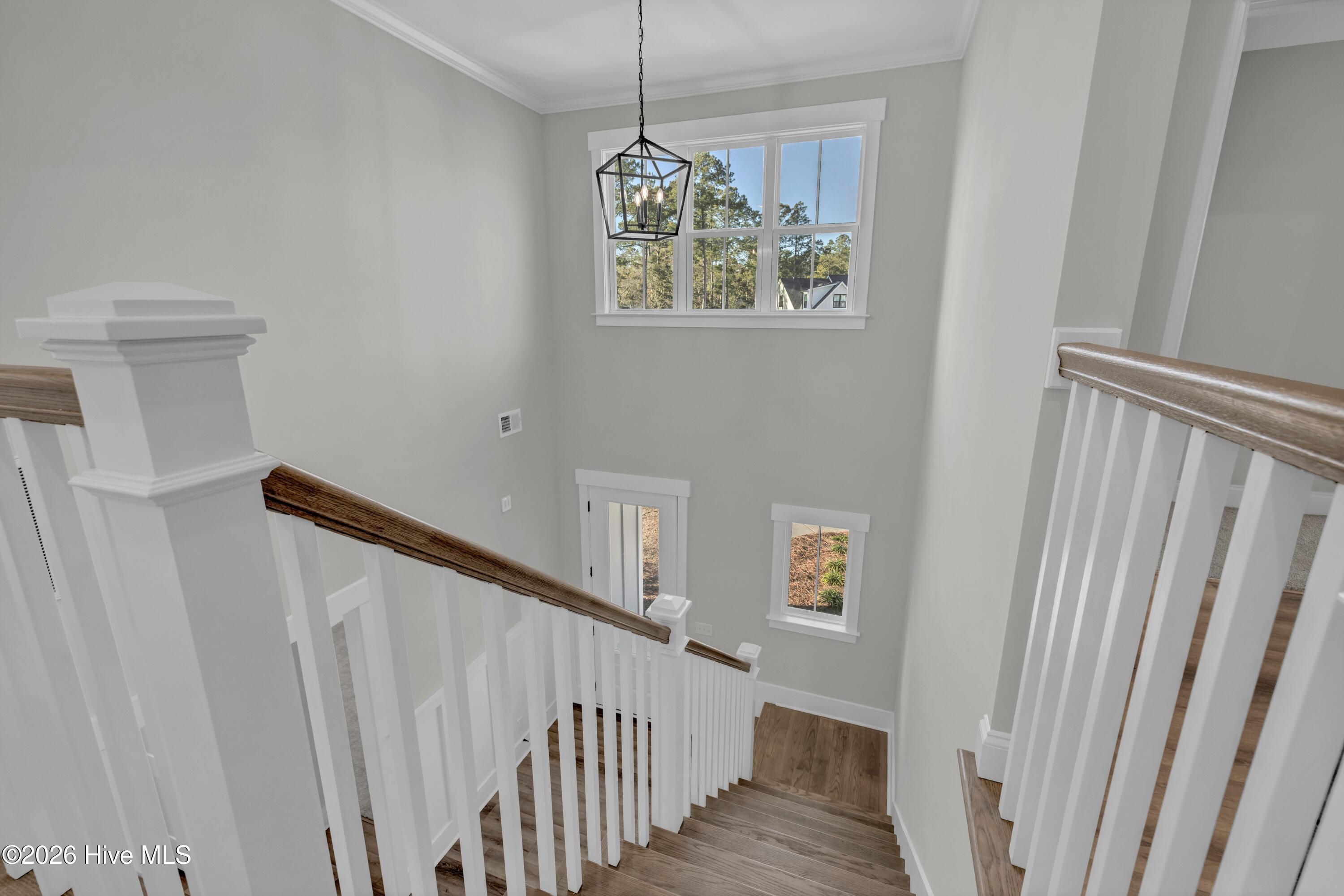 233 Hampton Court