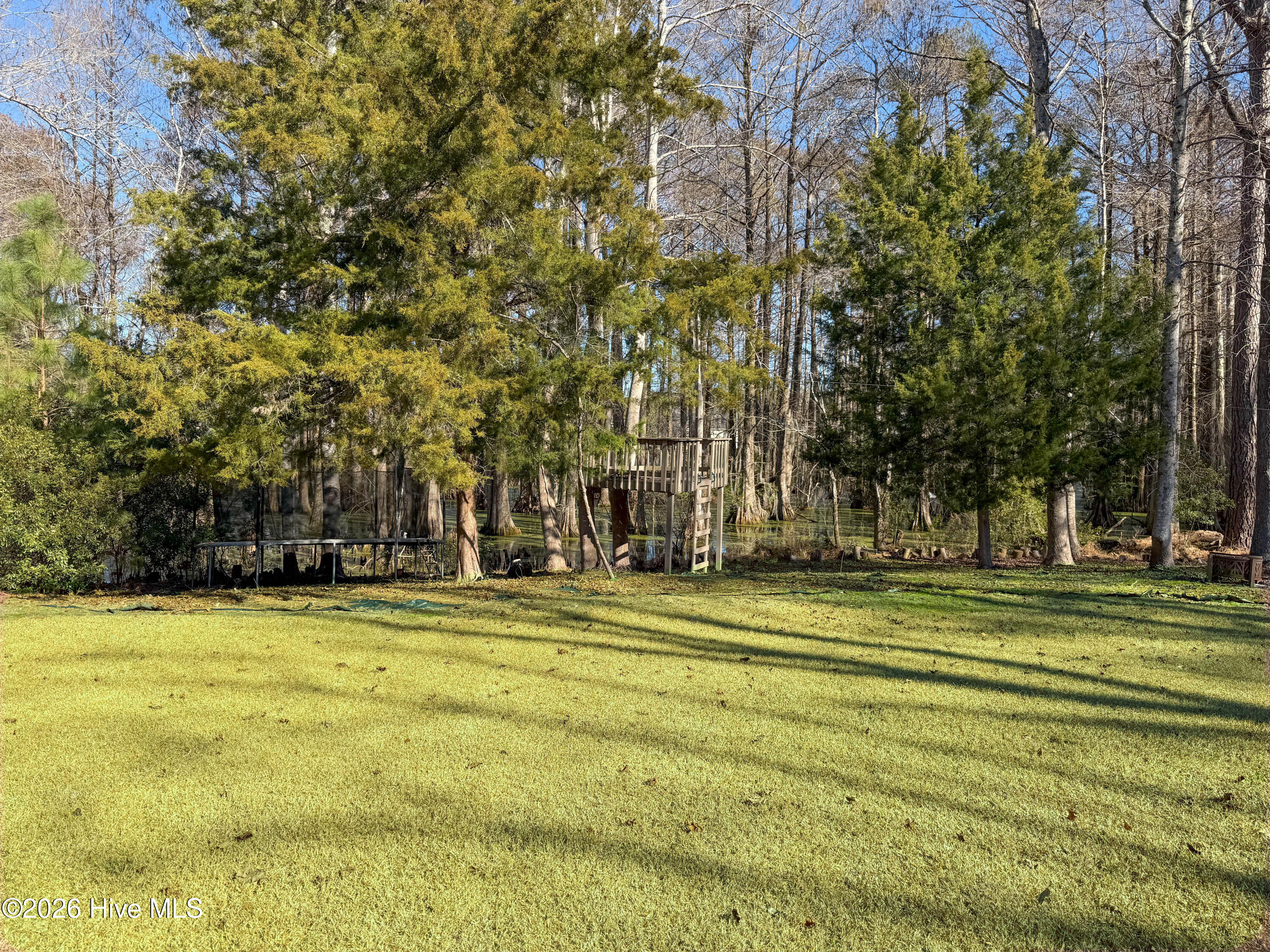 167 Hydrangea Lane