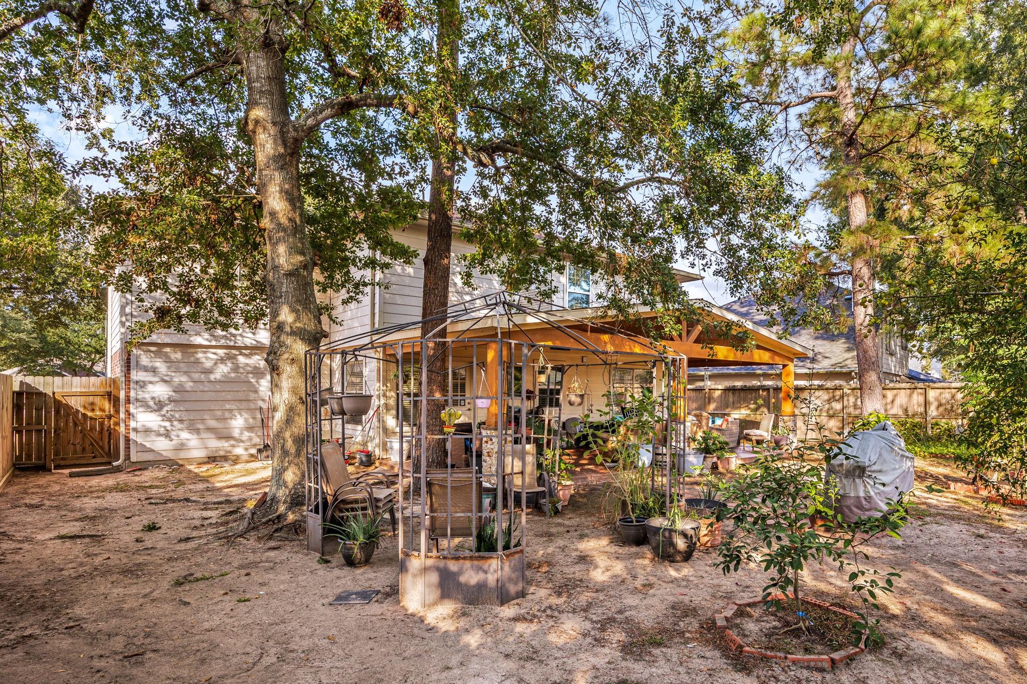 16123 Mossy Grove