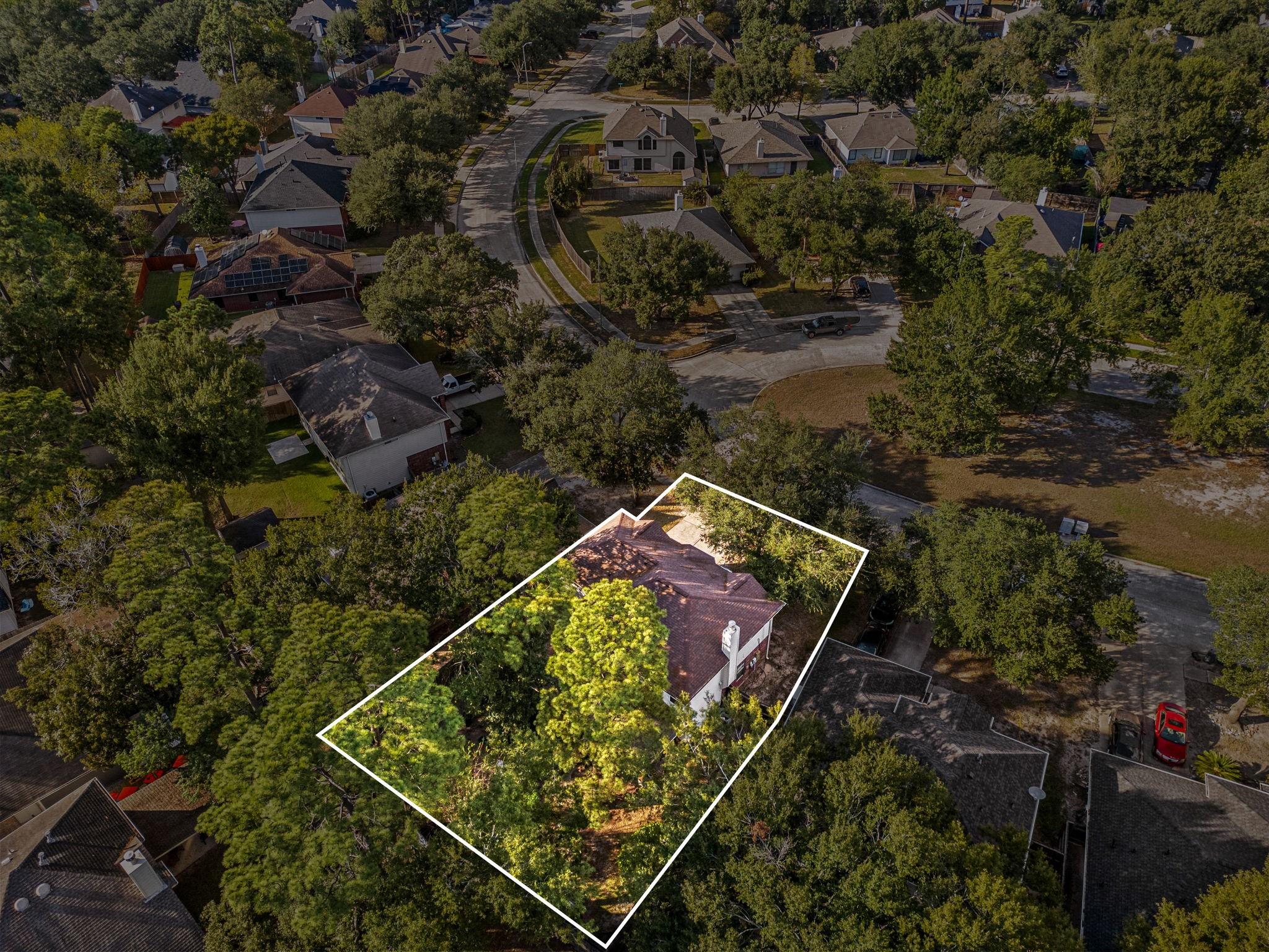 16123 Mossy Grove