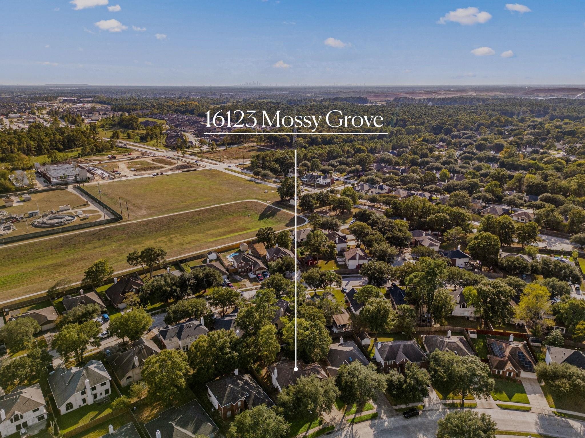 16123 Mossy Grove