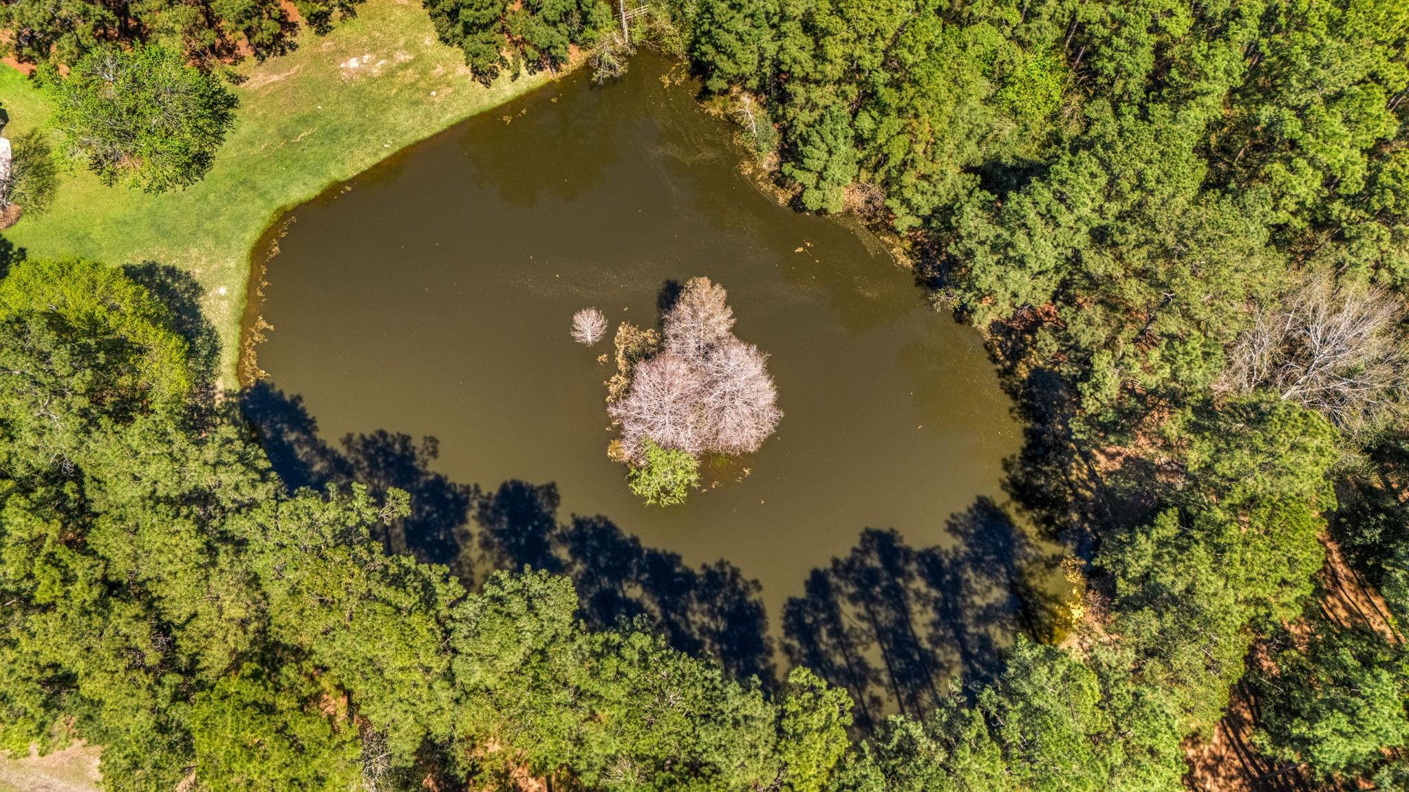 14419 Timbergreen Drive