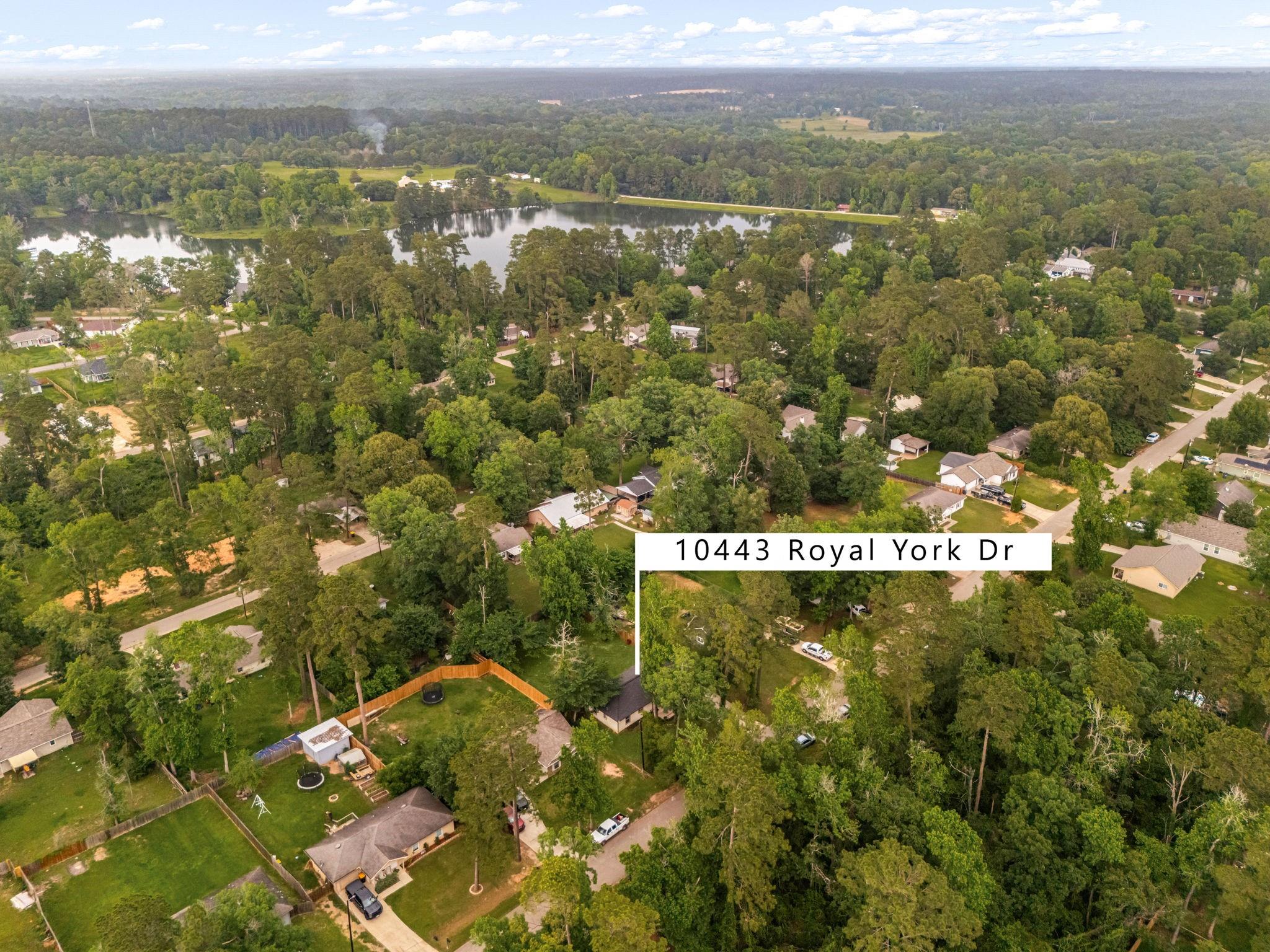 10443 Royal York Drive
