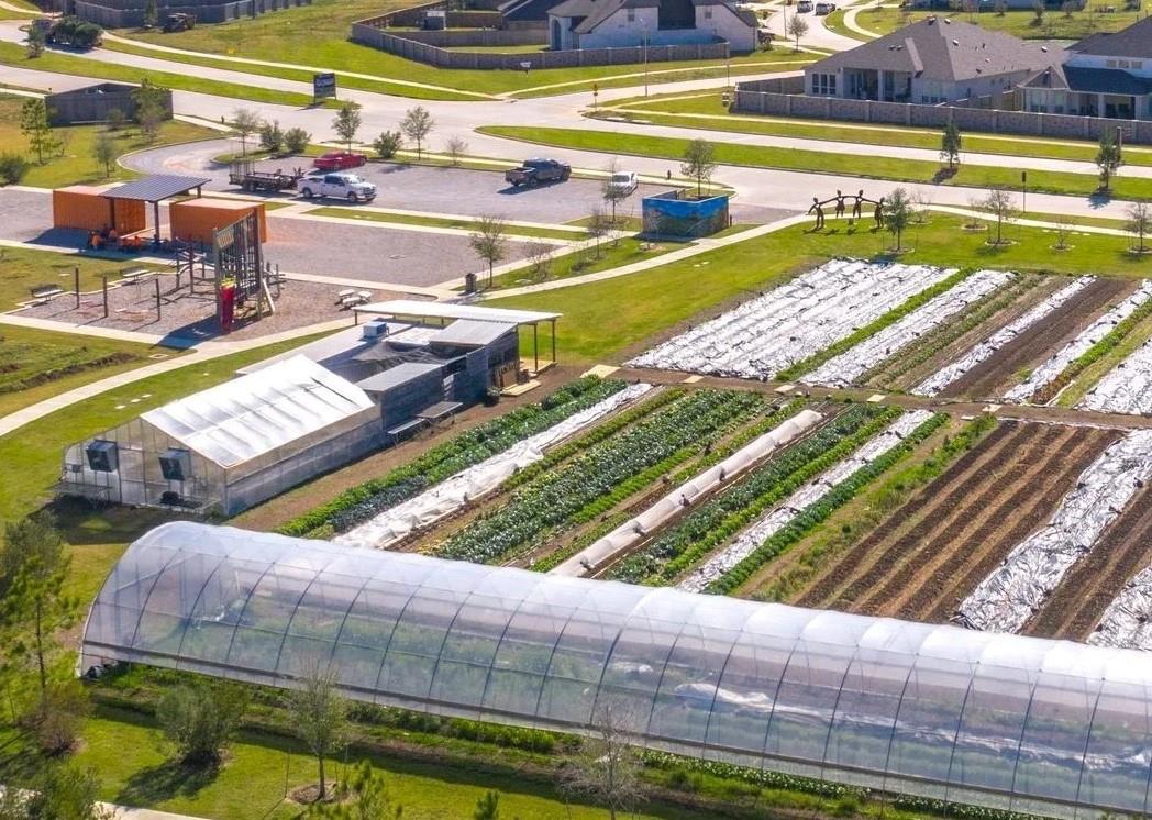 31422 Bluebell Avenue