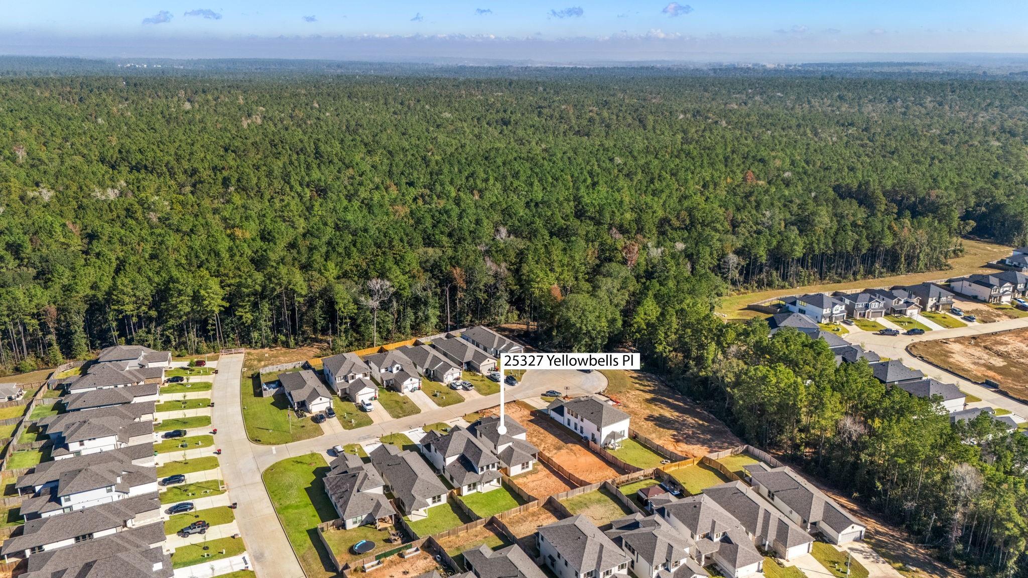 25319 Yellowbells Place