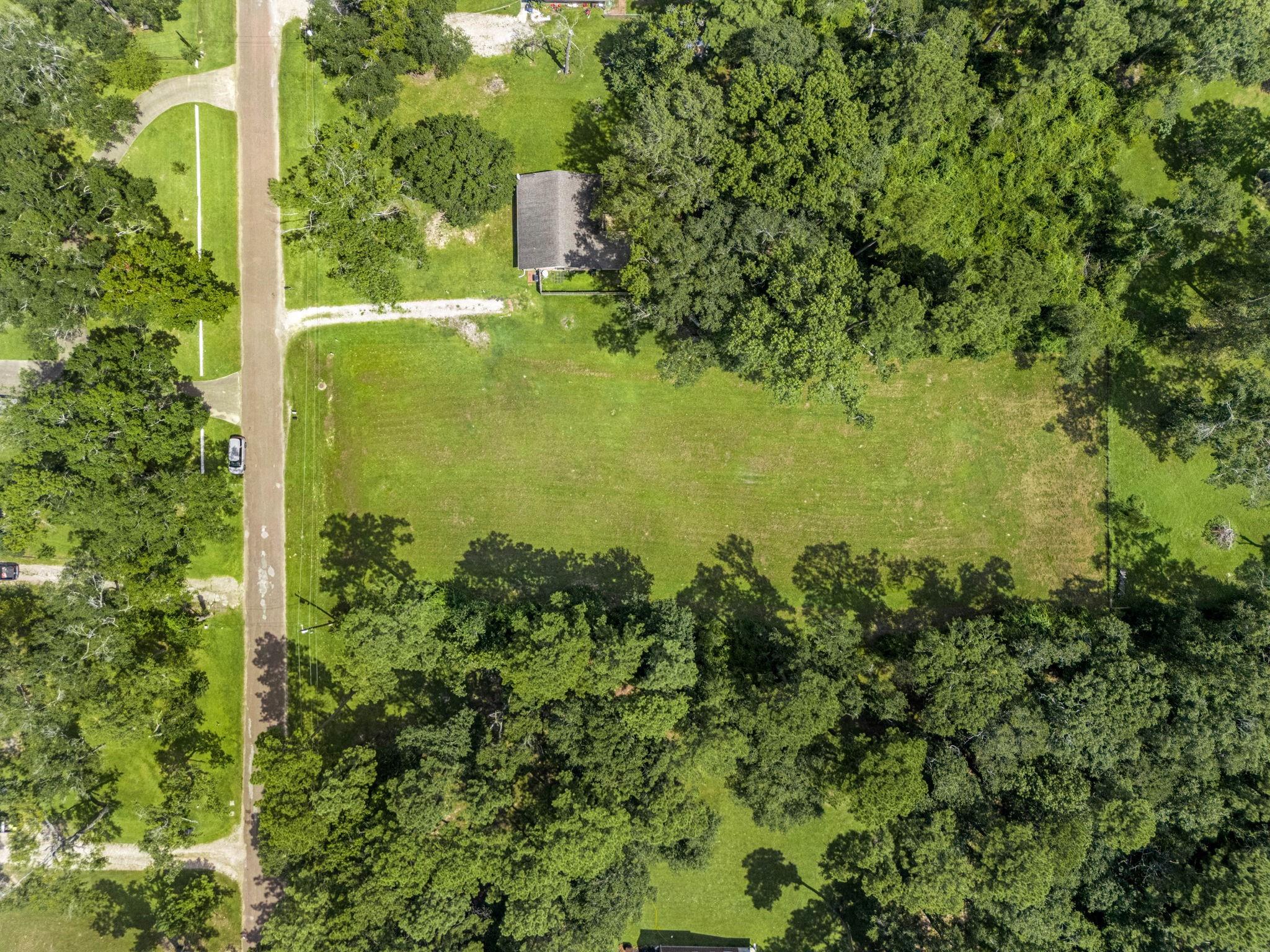 55 Woodbranch Drive