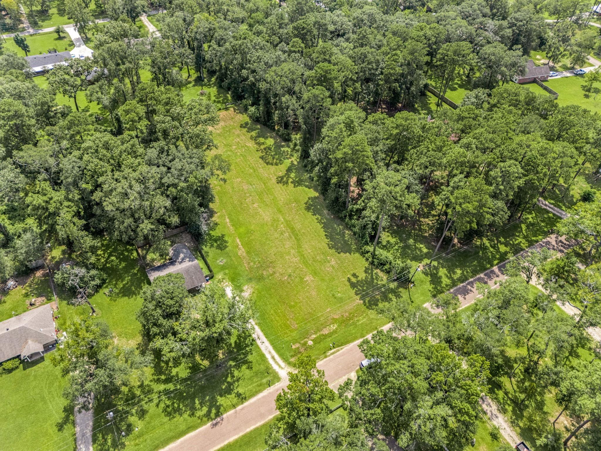 55 Woodbranch Drive