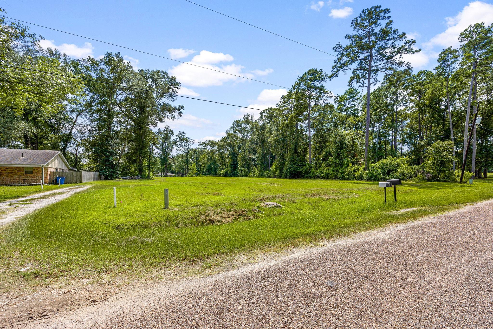 55 Woodbranch Drive