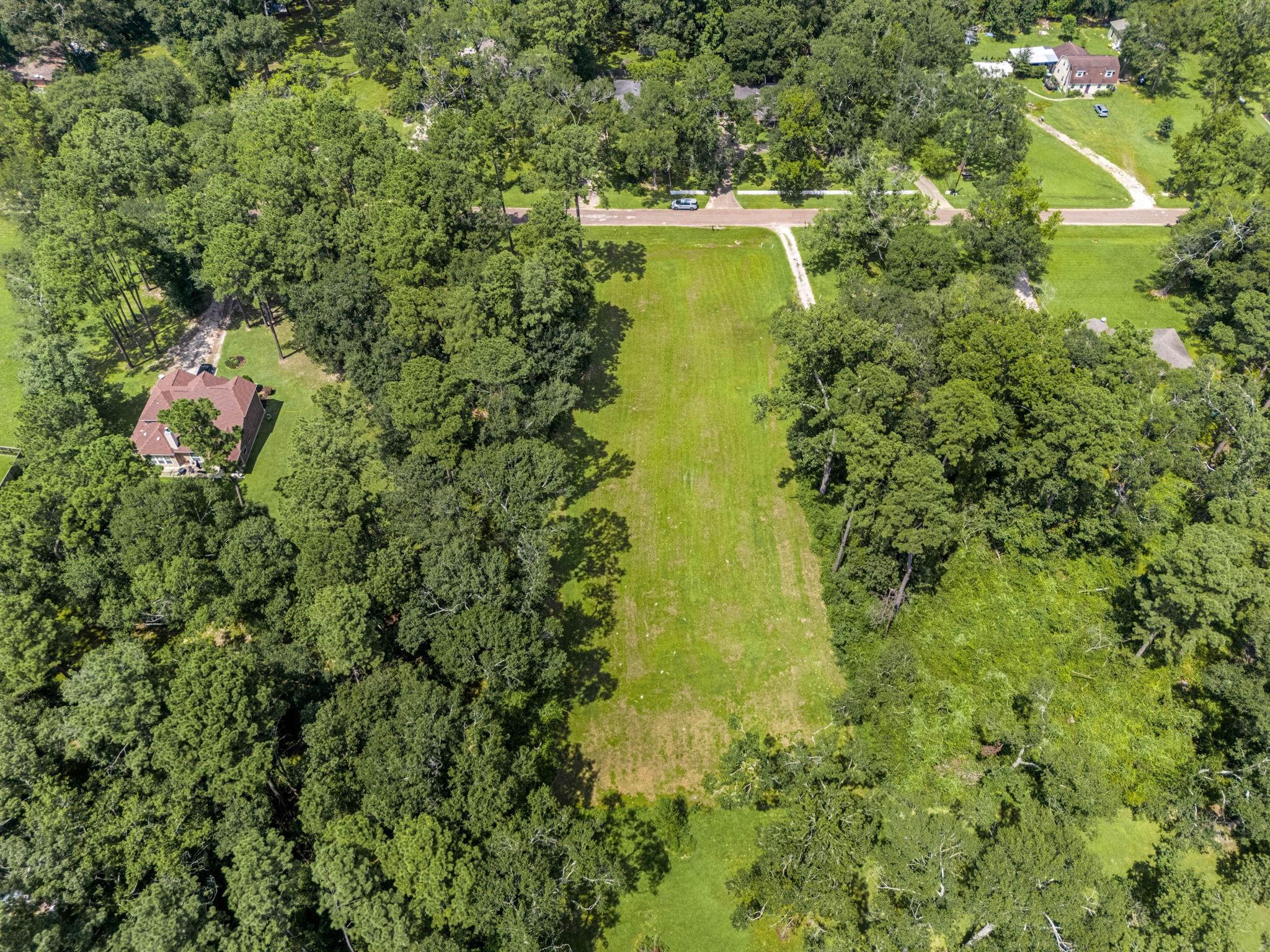 55 Woodbranch Drive