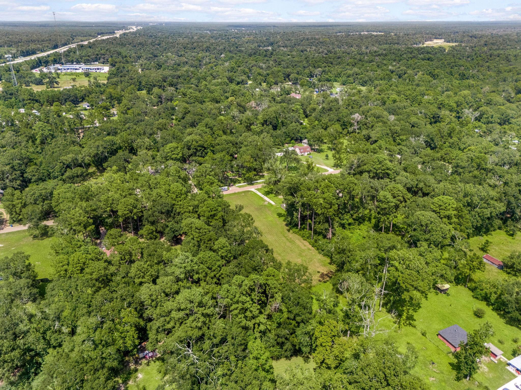 55 Woodbranch Drive