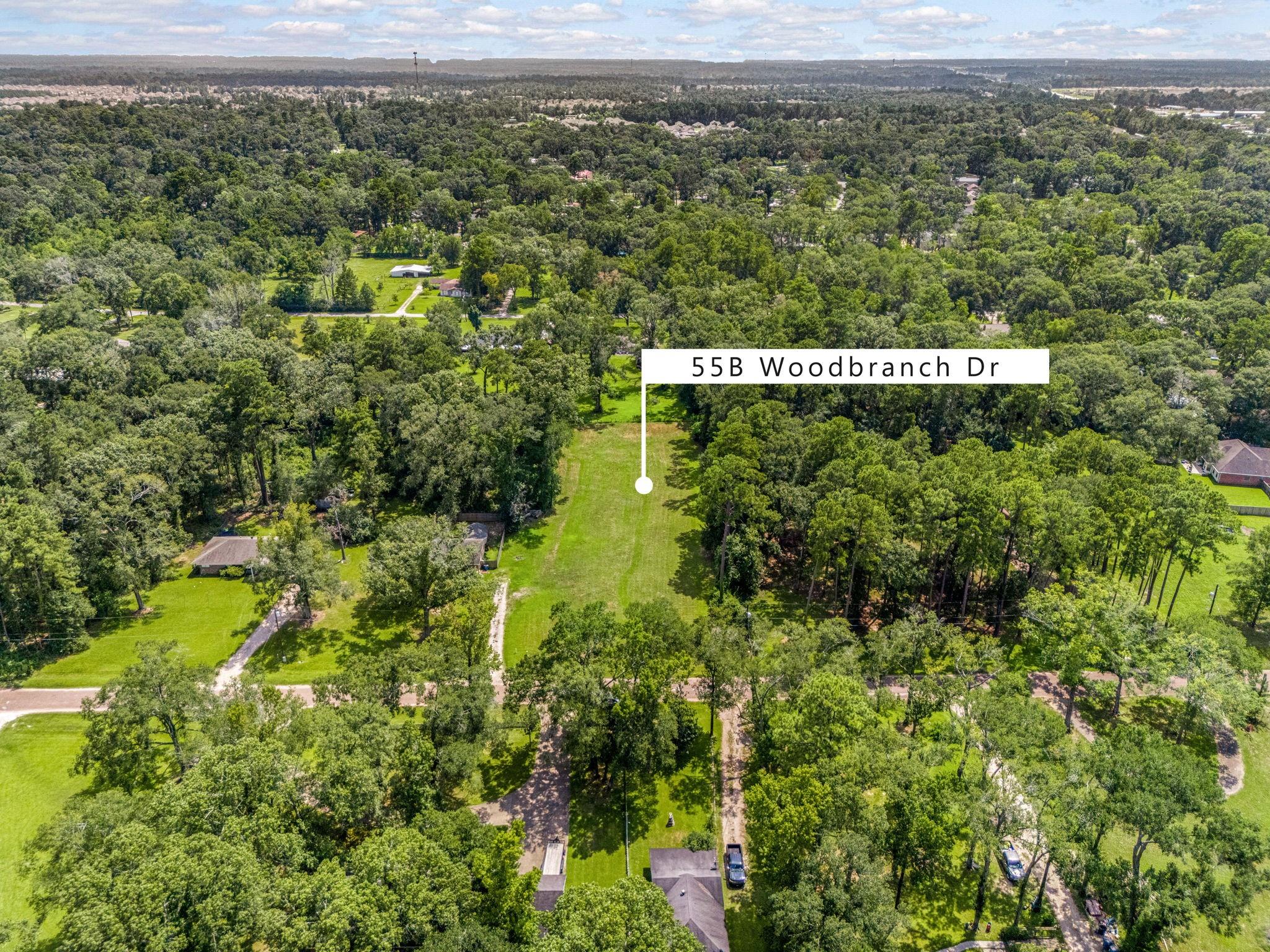 55 Woodbranch Drive
