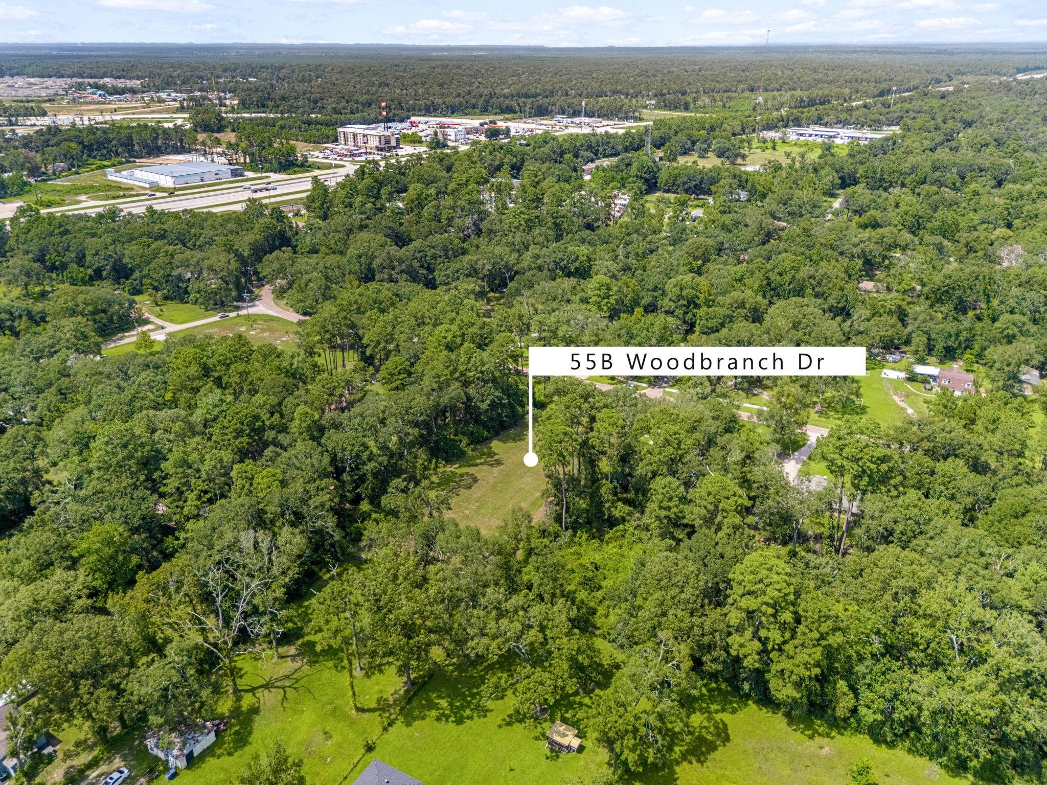 55 Woodbranch Drive