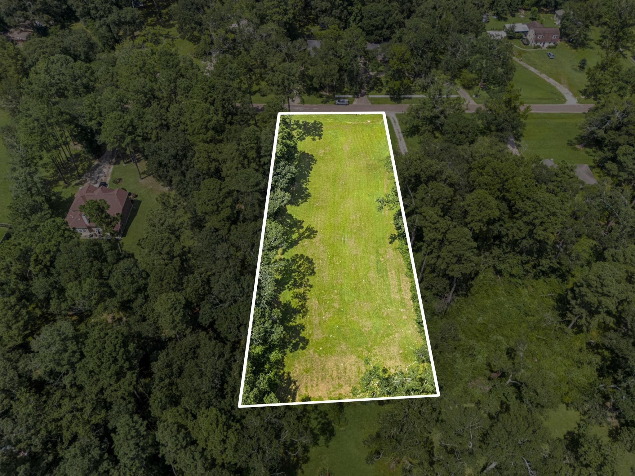 55 Woodbranch Drive