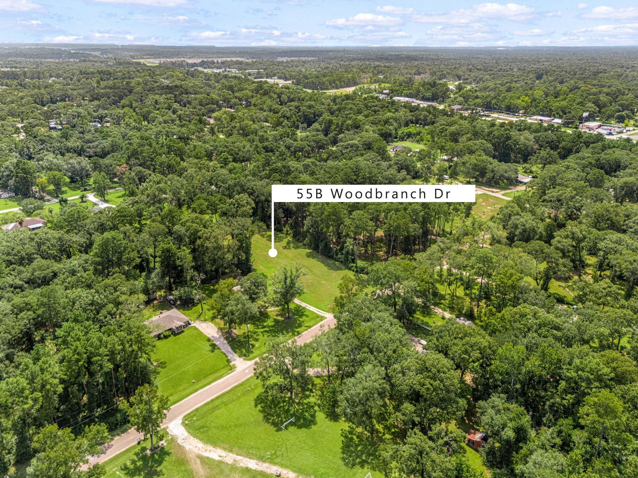 55 Woodbranch Drive