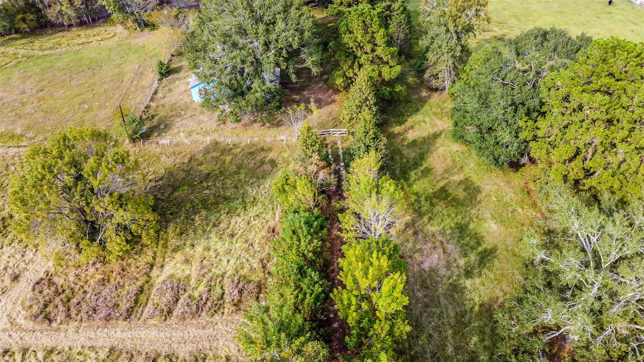 761 Longhorn Drive E