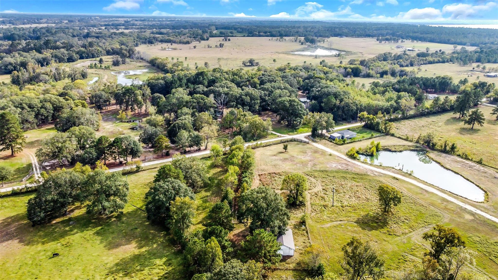 761 Longhorn Drive E