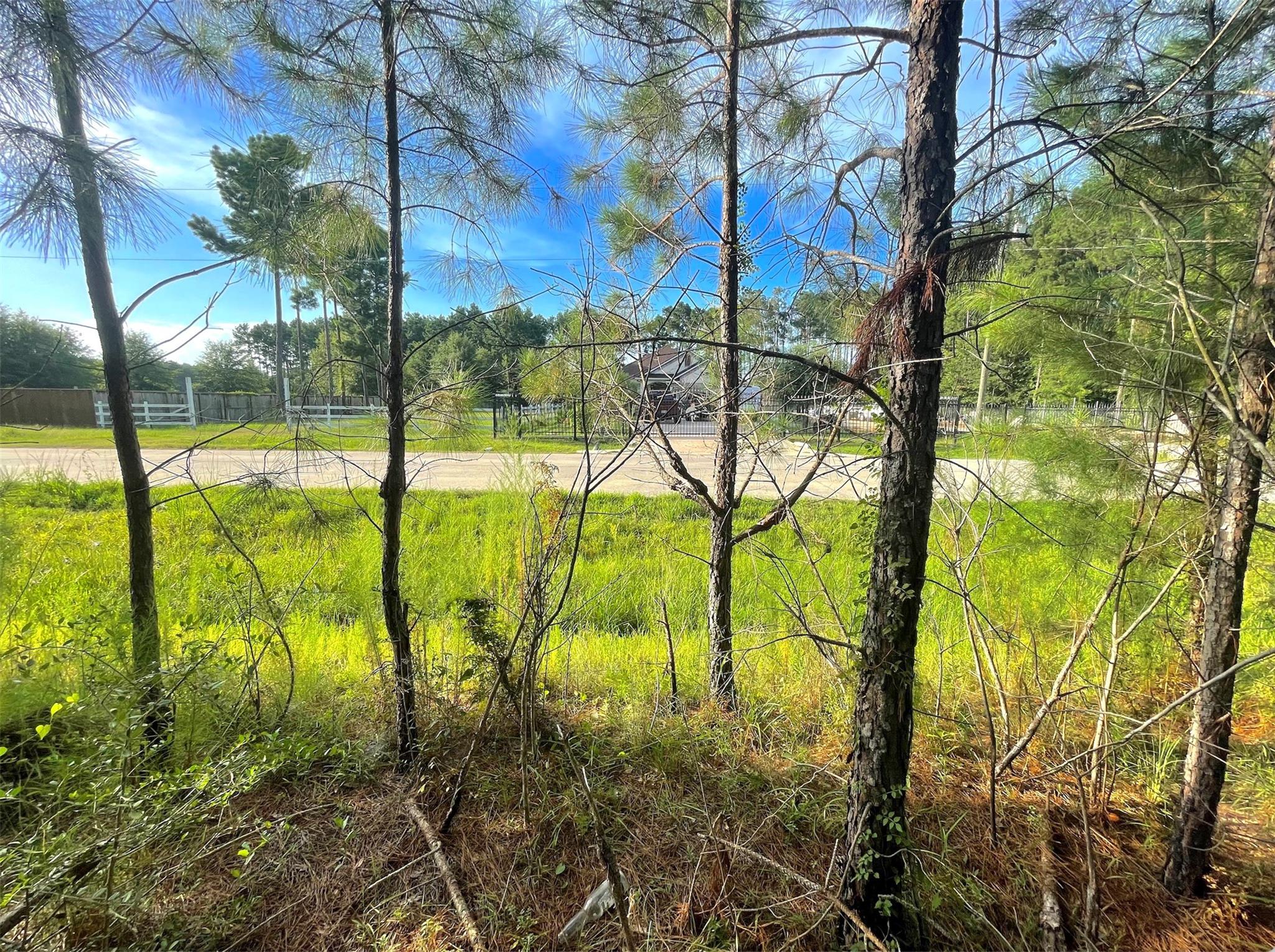 124 County Road 3546