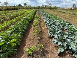 3007 Frost Corner Place