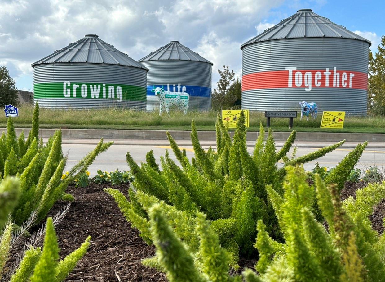 3007 Frost Corner Place