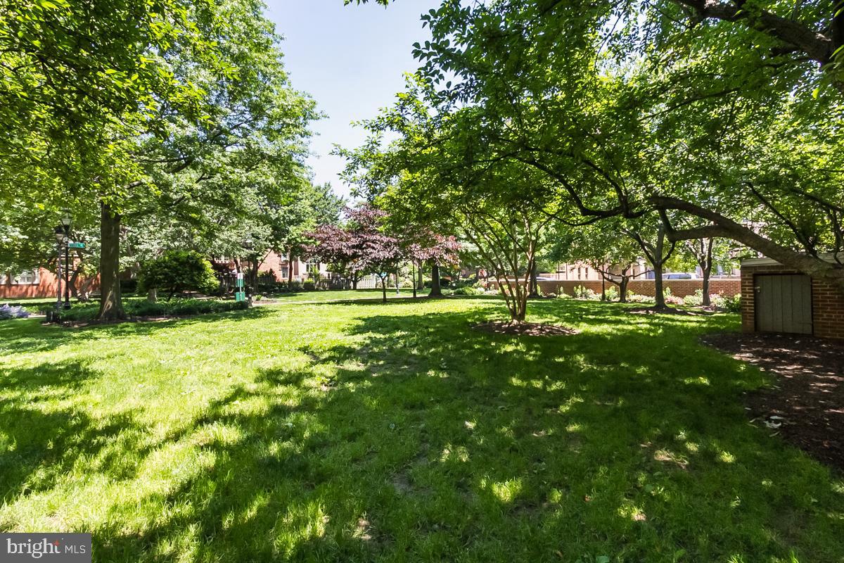 115 W Lee St W