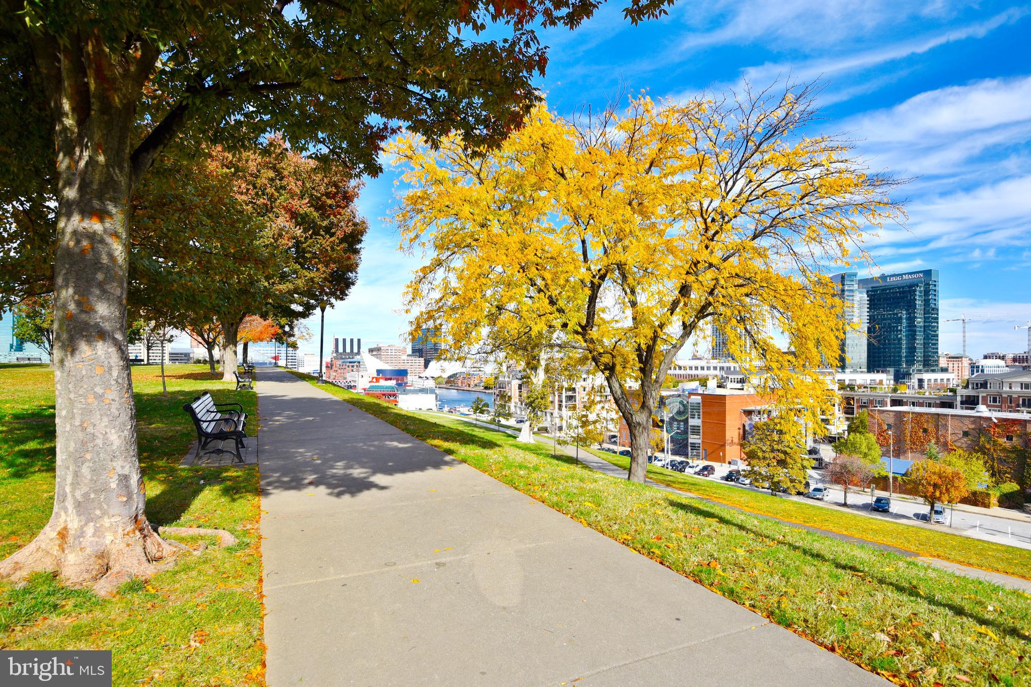 10 E Lee St E #1804