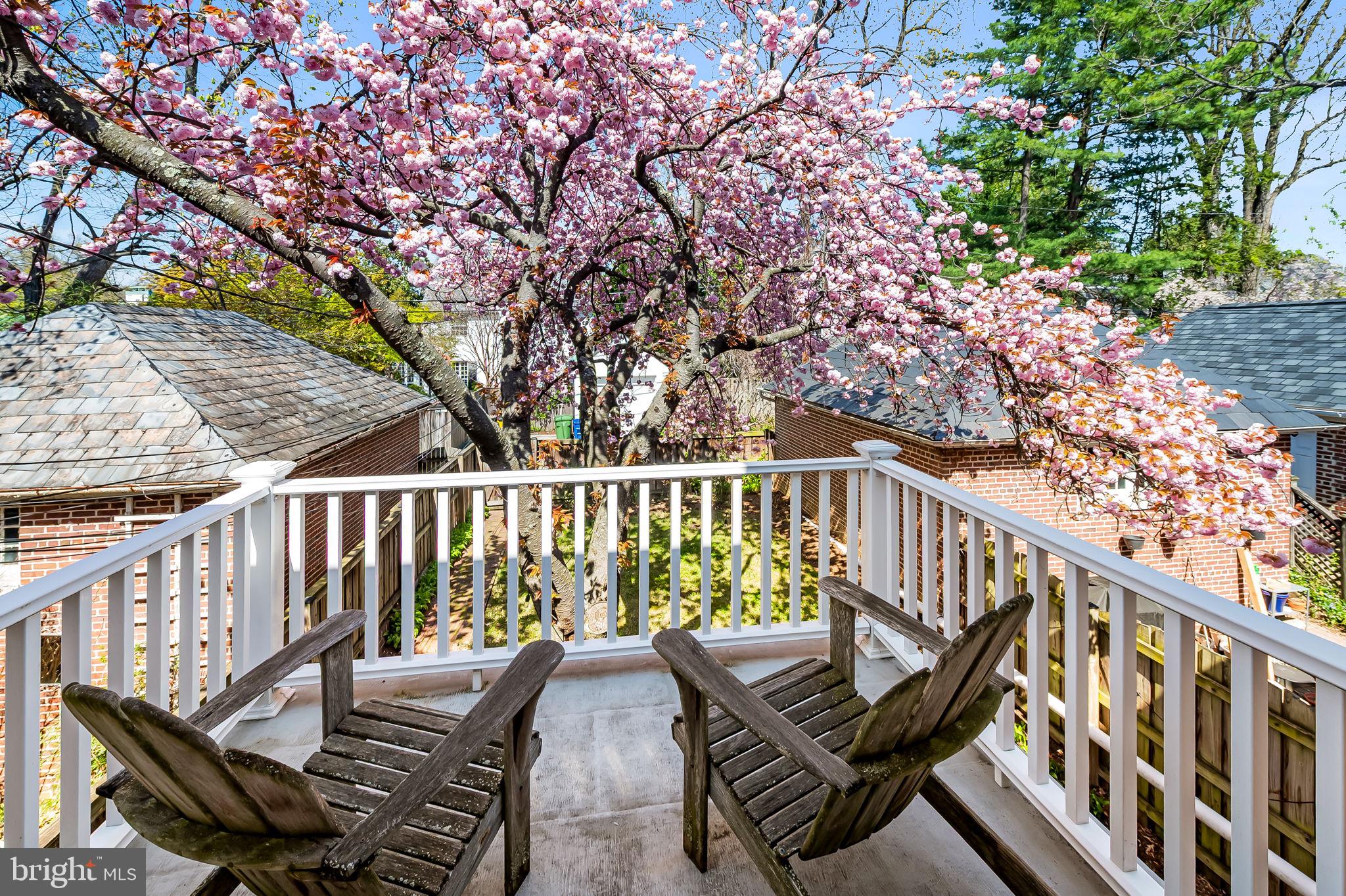 222 HOMEWOOD TERRACE