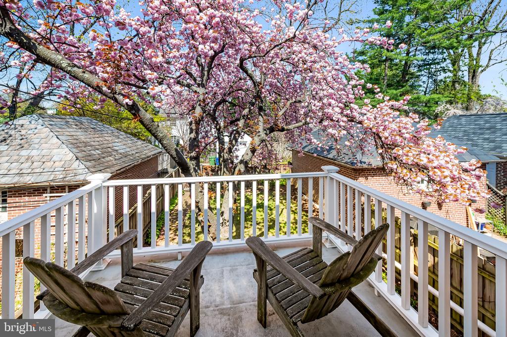 222 HOMEWOOD TERRACE