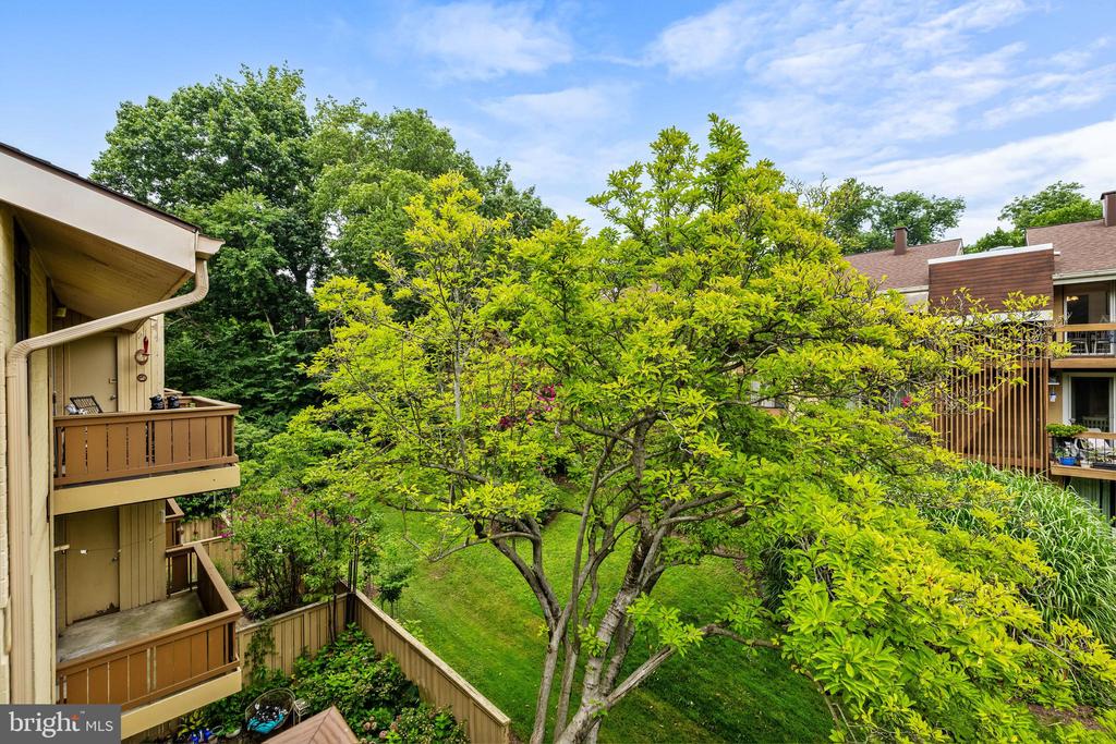 11 HAMILL ROAD Unit: 11E