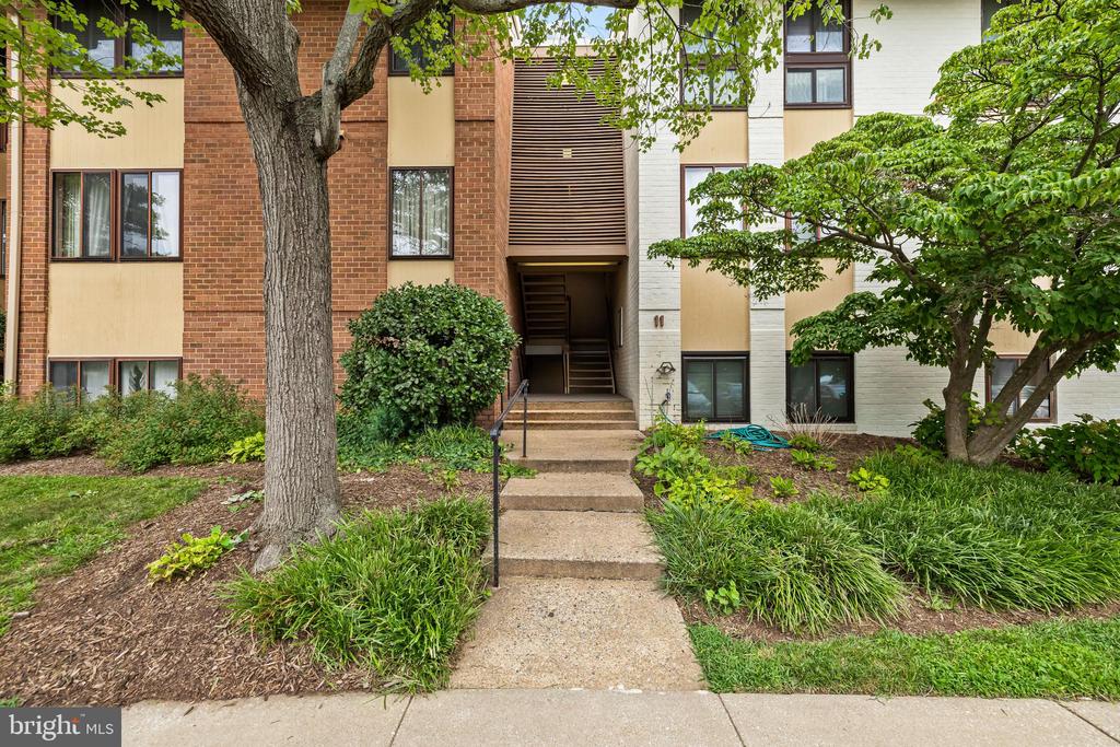 11 HAMILL ROAD Unit: 11E