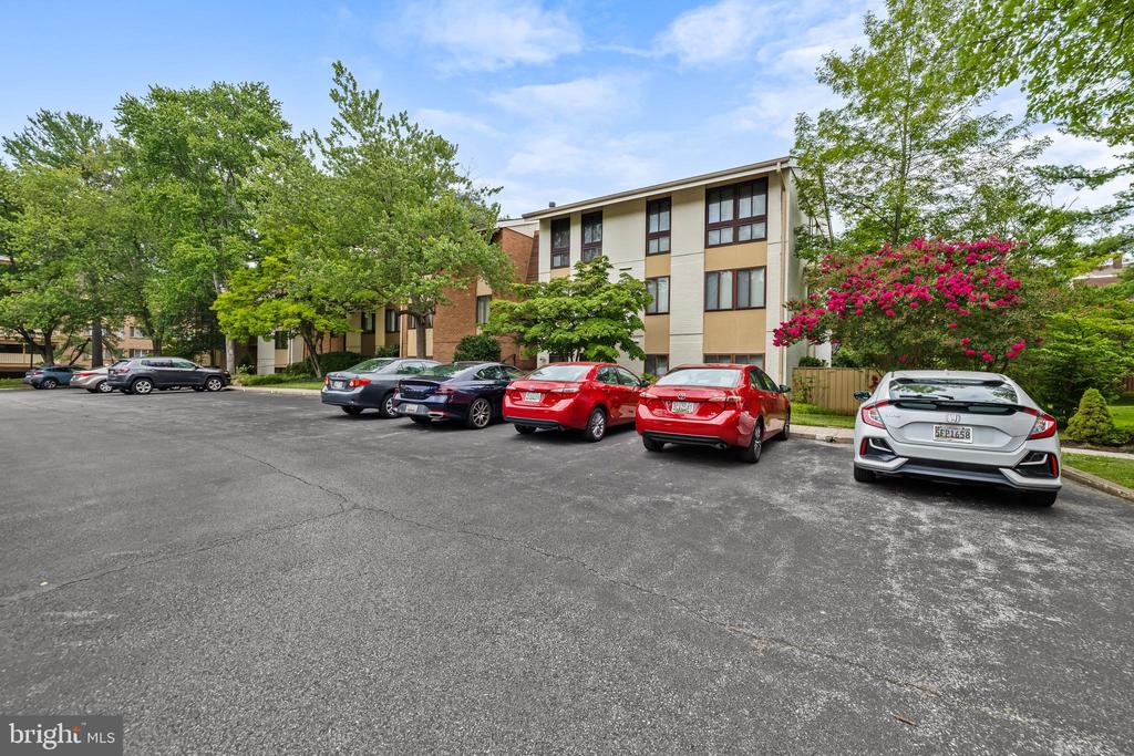 11 HAMILL ROAD Unit: 11E