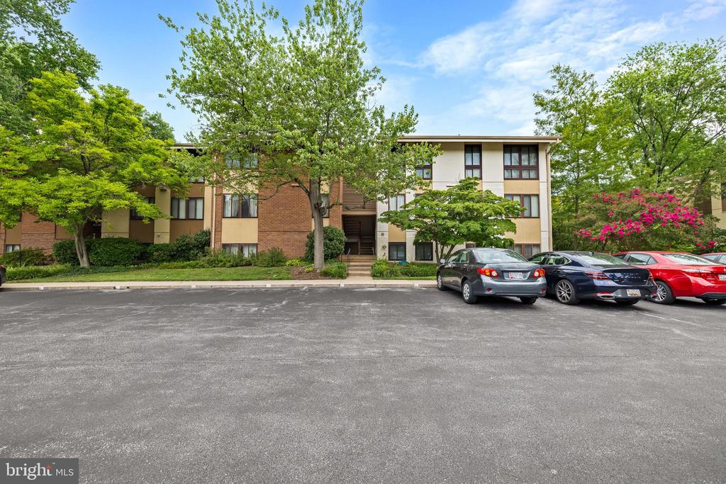 11 HAMILL ROAD Unit: 11E