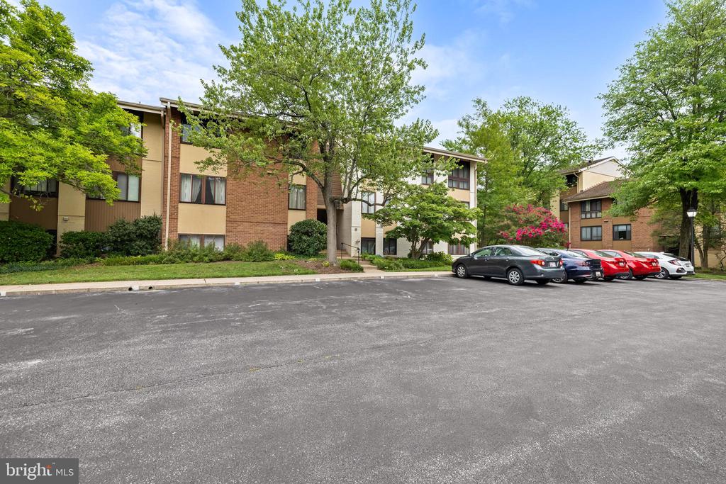 11 HAMILL ROAD Unit: 11E