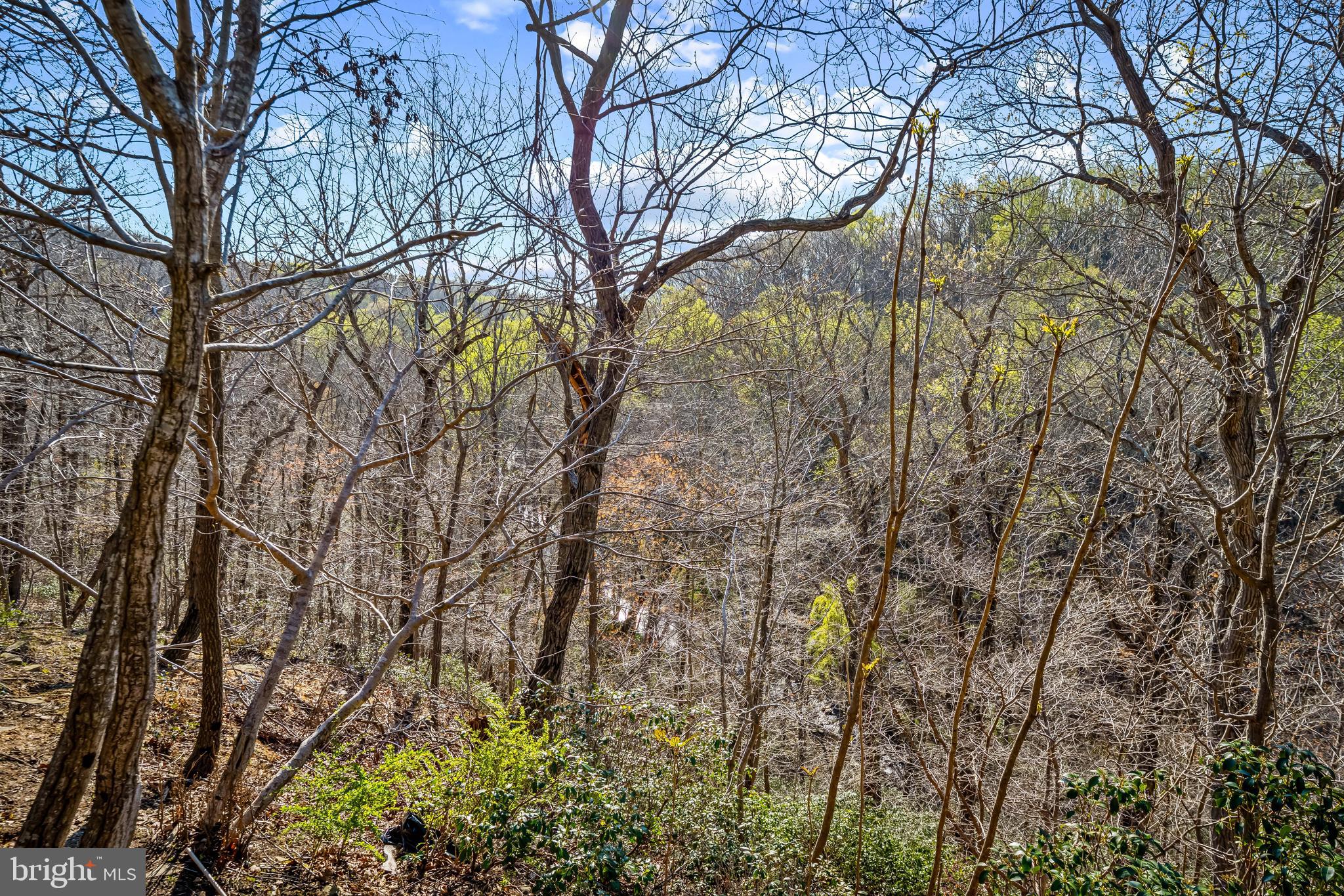 13040 JEROME JAY DRIVE