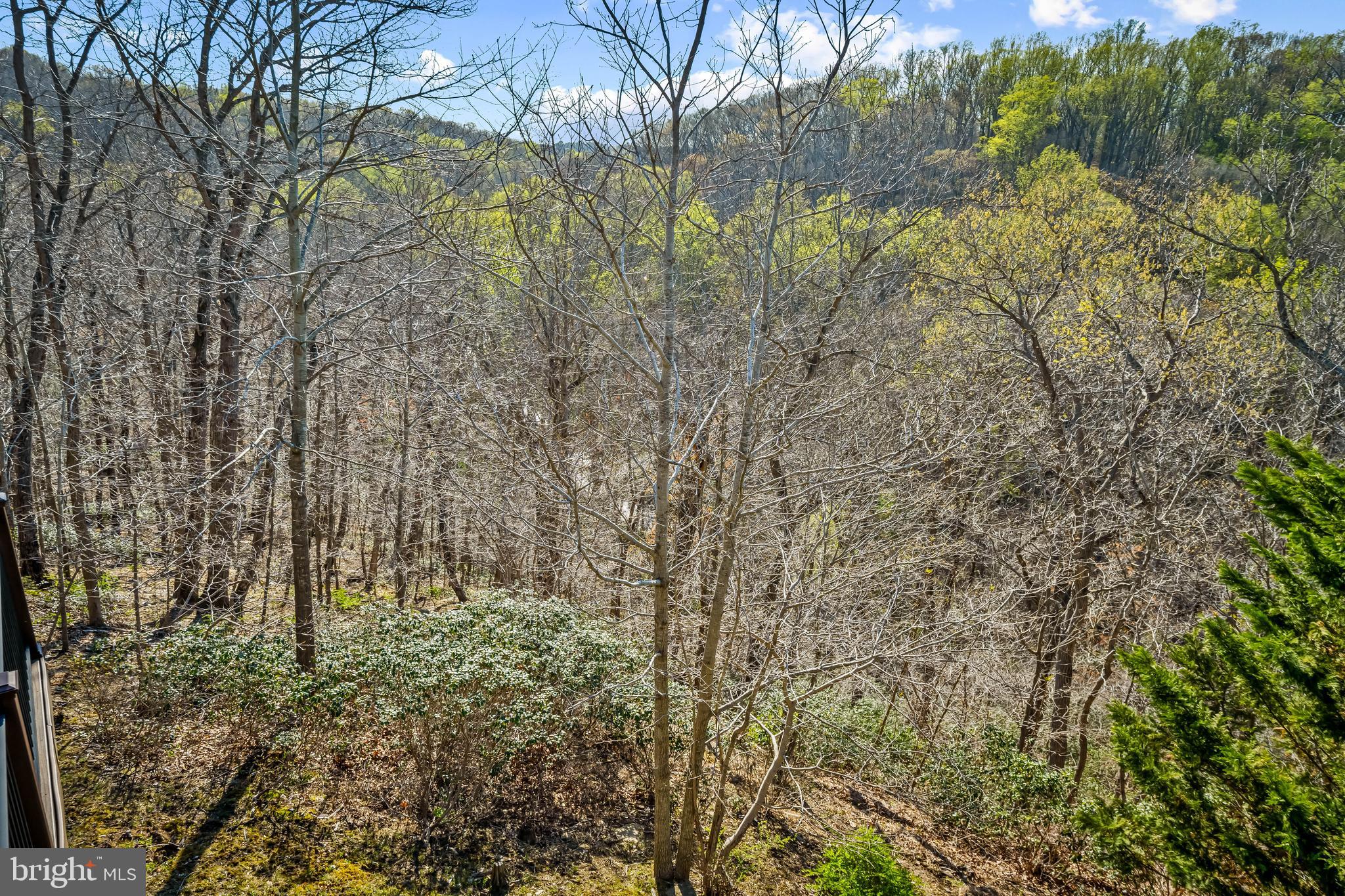 13040 JEROME JAY DRIVE