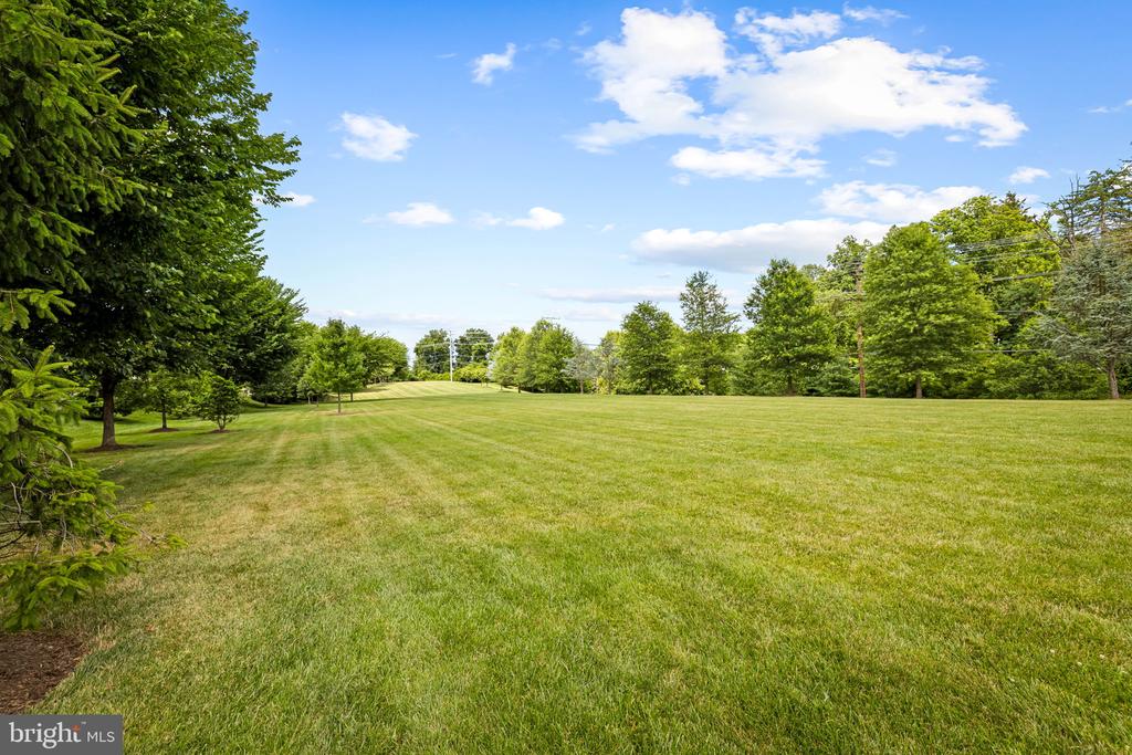14017 FOX HILL ROAD