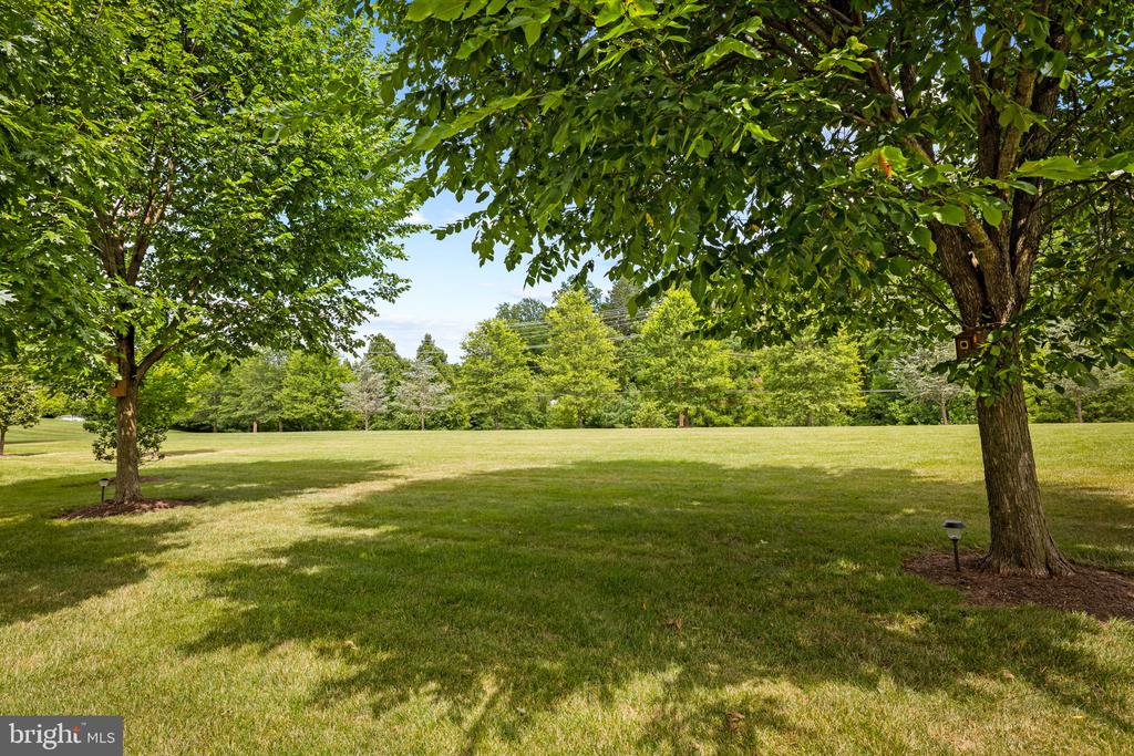 14017 FOX HILL ROAD