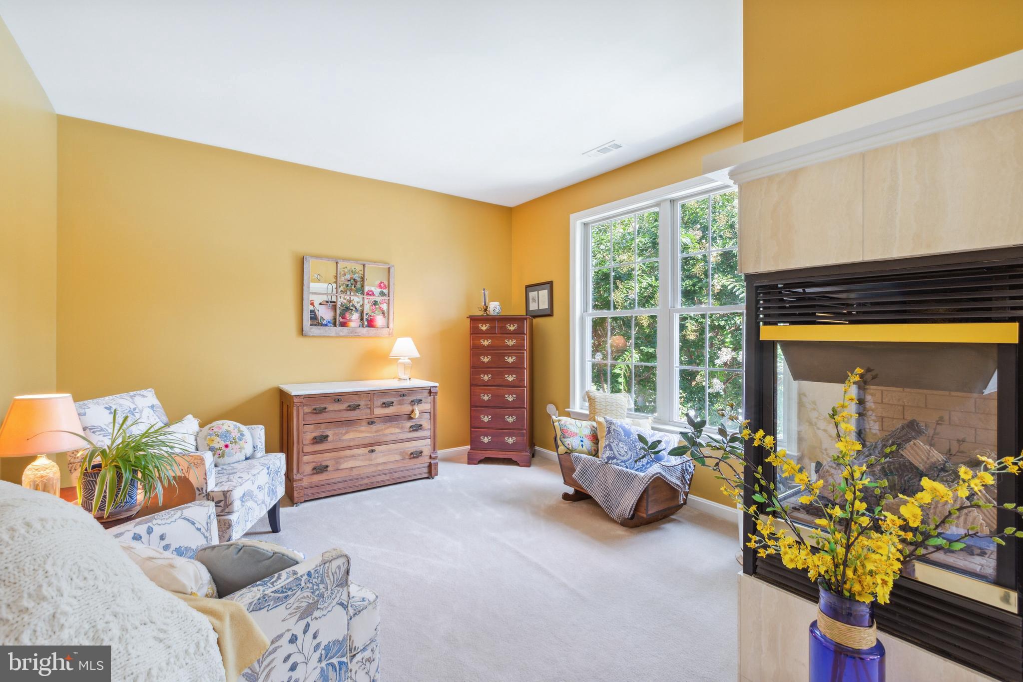 6347 Trout Stream DRIVE
