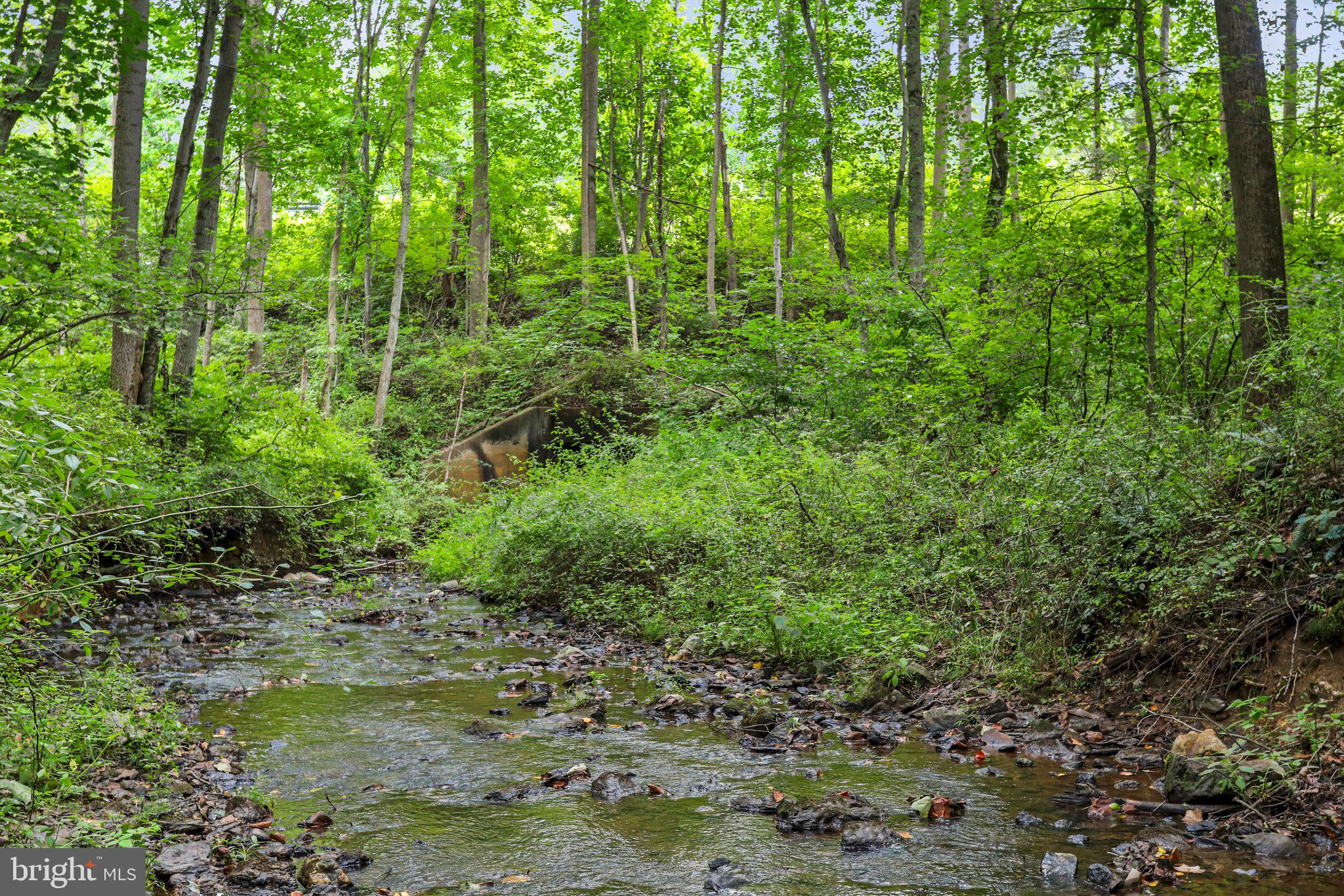 4823 Old Washington ROAD
