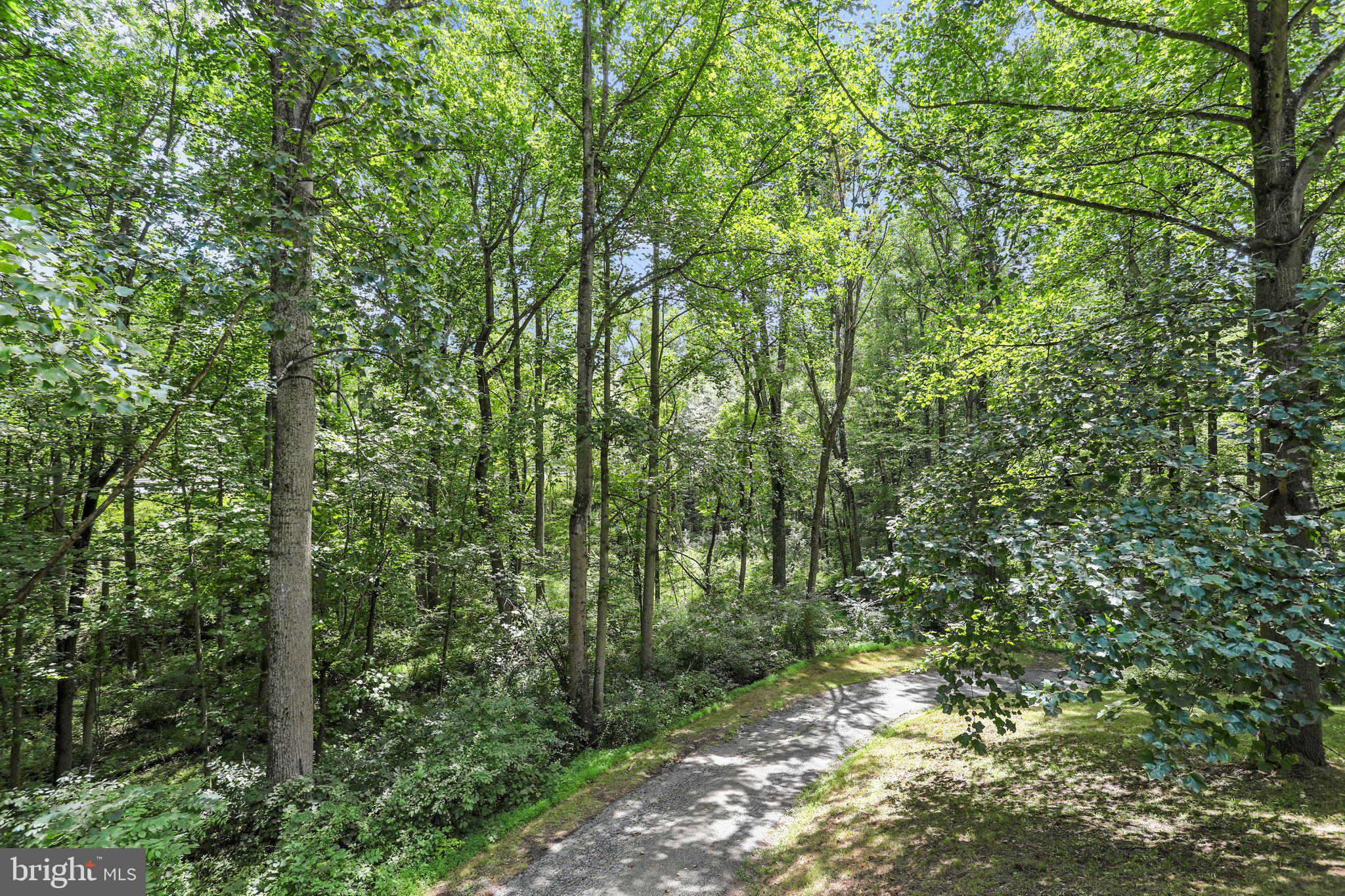 4823 Old Washington ROAD