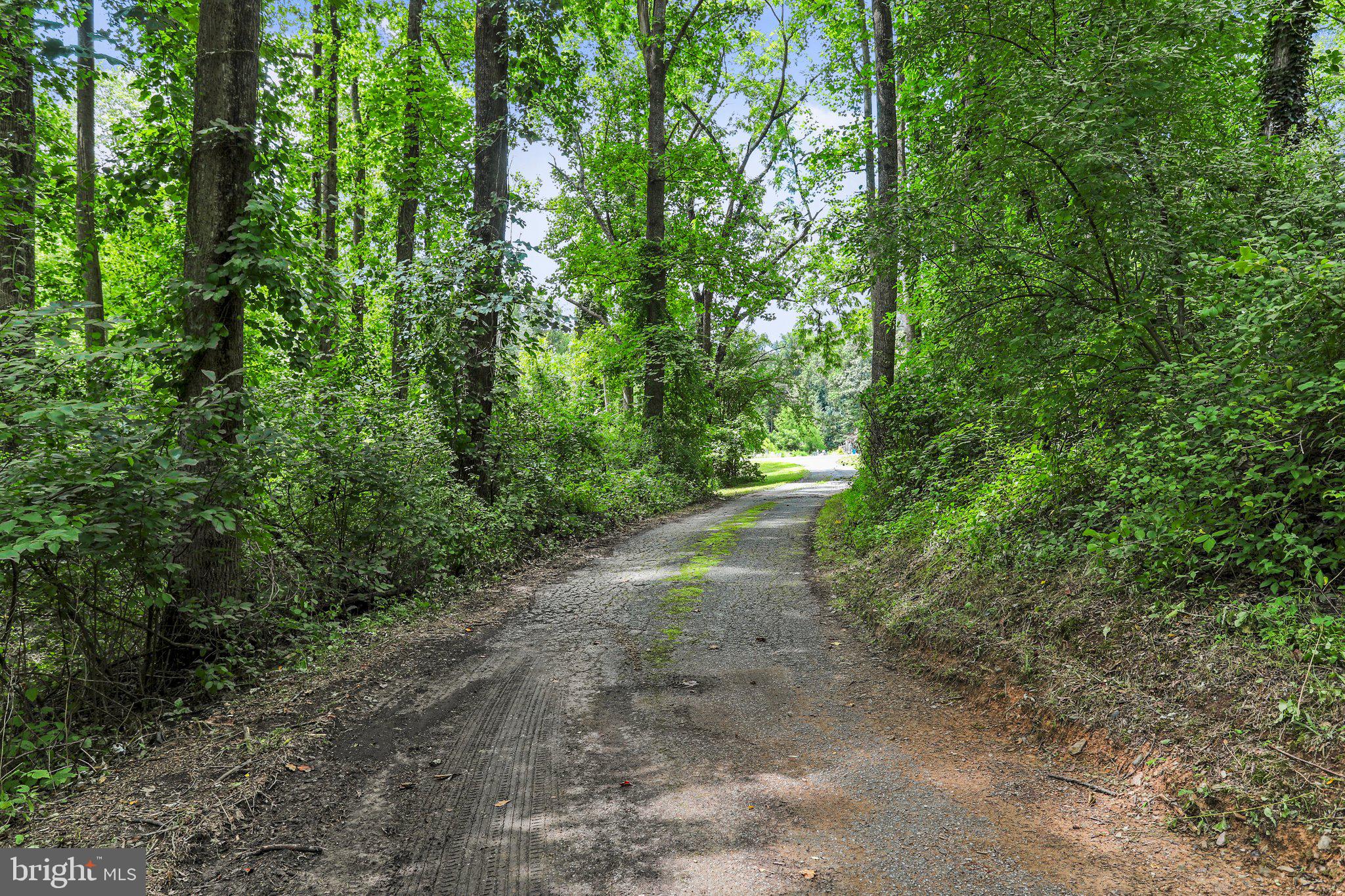 4823 Old Washington ROAD