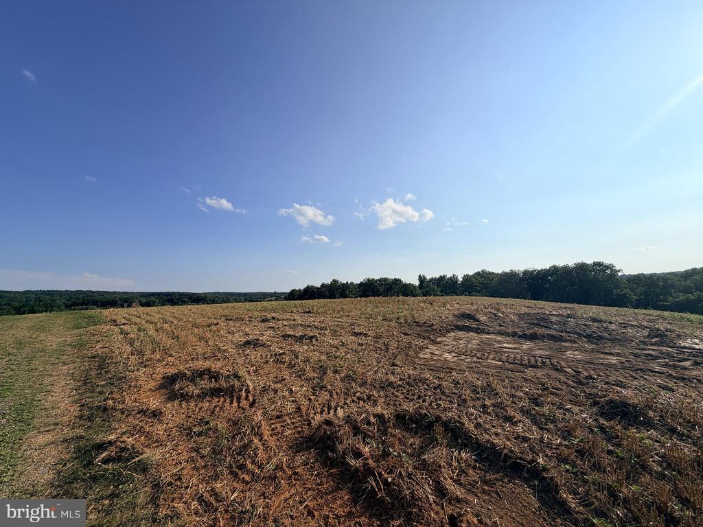 BACHMANS VALLEY ROAD