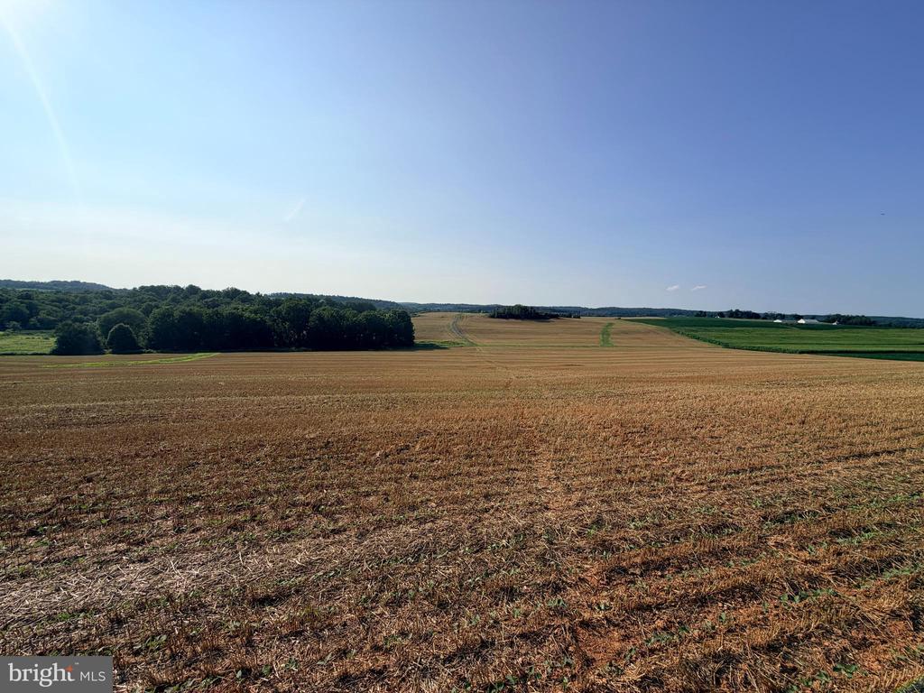 BACHMANS VALLEY ROAD