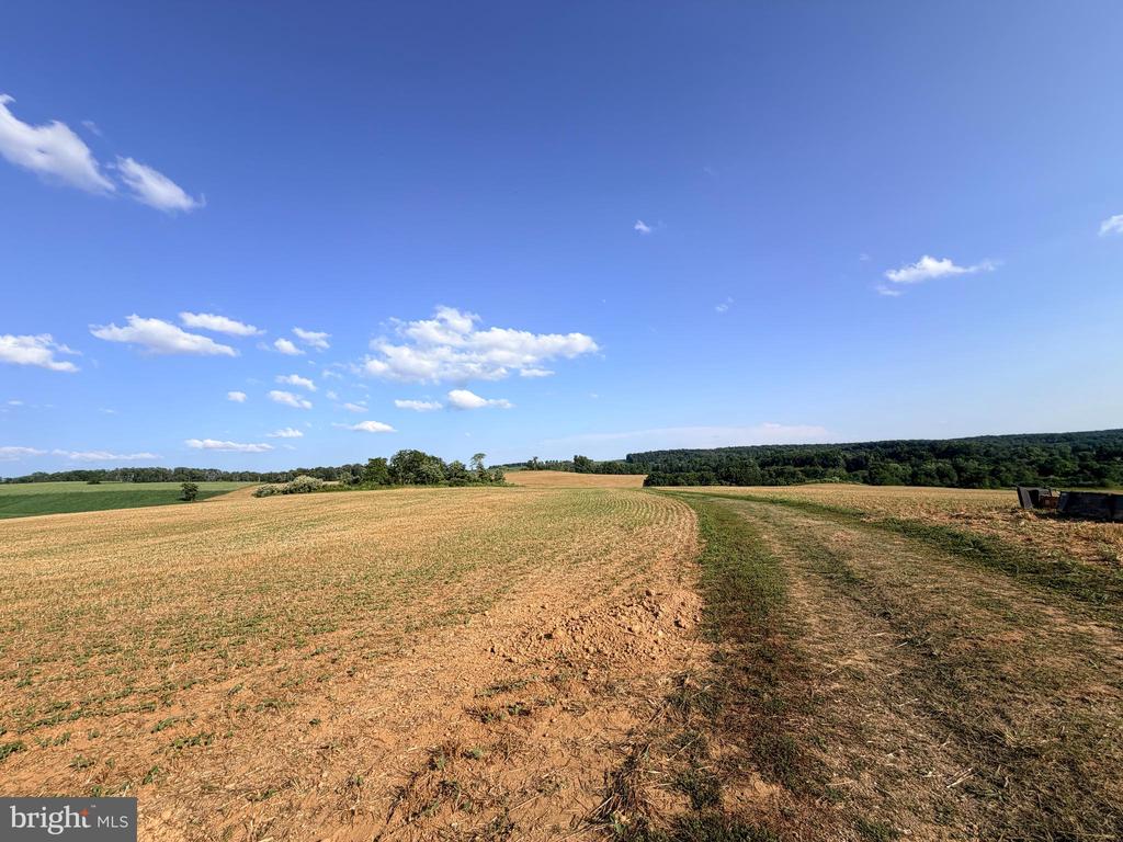 BACHMANS VALLEY ROAD