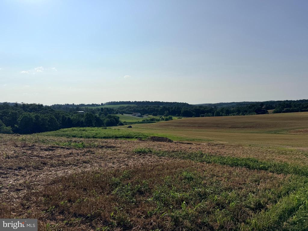 BACHMANS VALLEY ROAD