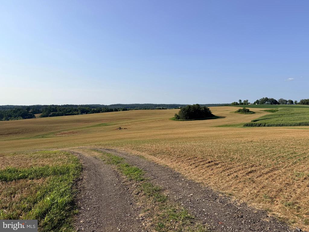 BACHMANS VALLEY ROAD