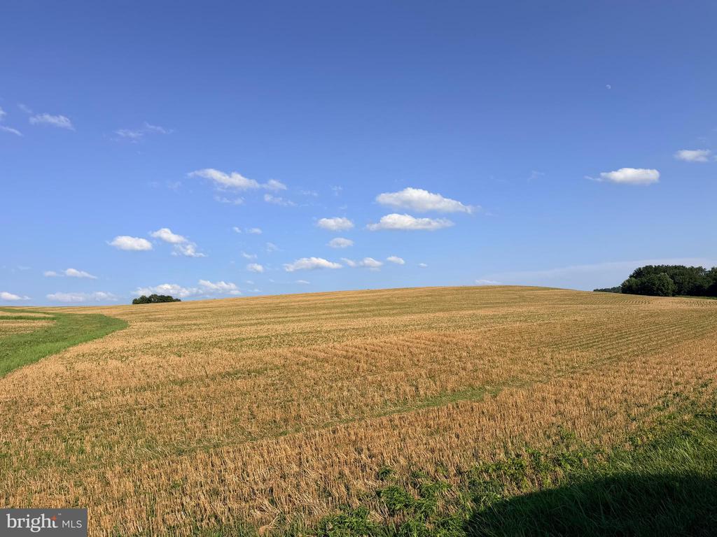 BACHMANS VALLEY ROAD