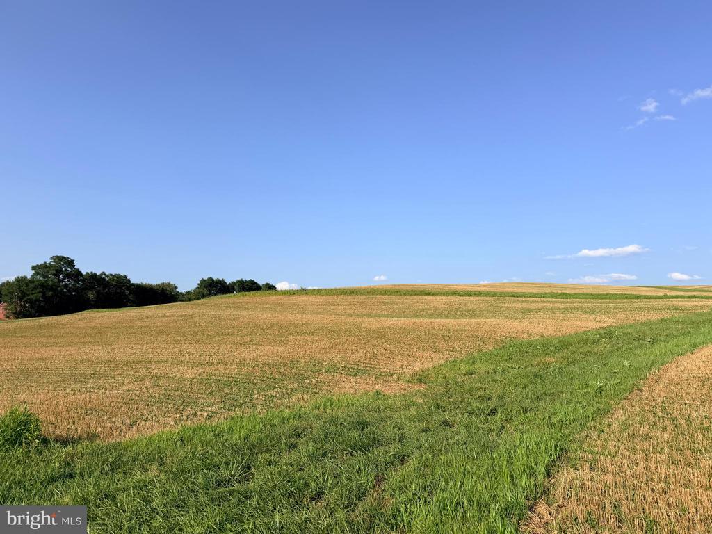 BACHMANS VALLEY ROAD