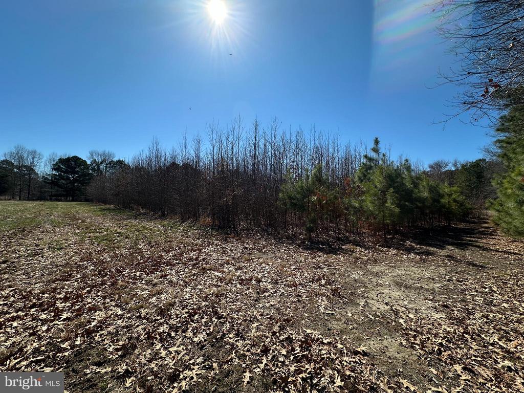 COOPER POINT ROAD