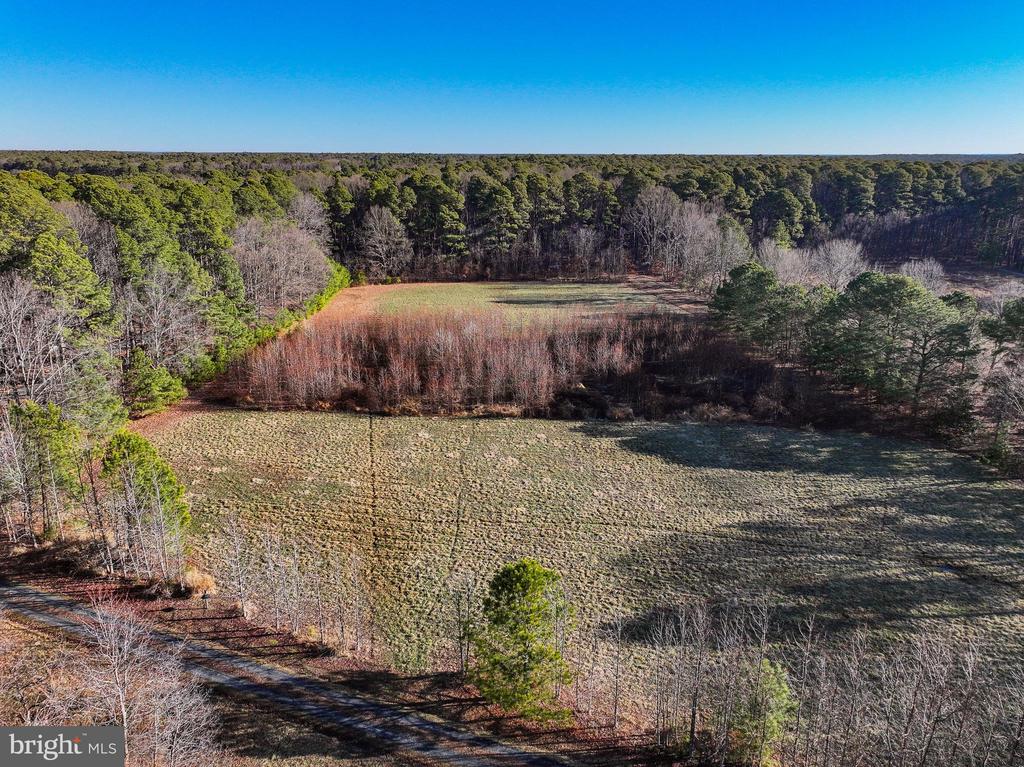 COOPER POINT ROAD