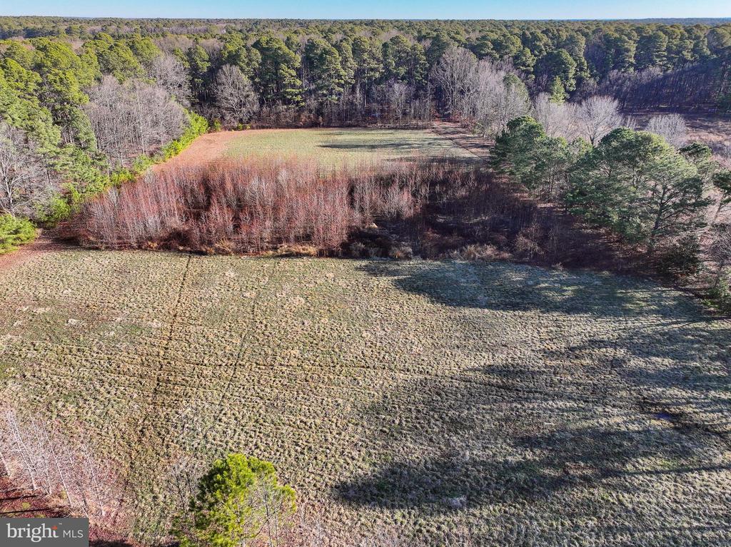 COOPER POINT ROAD